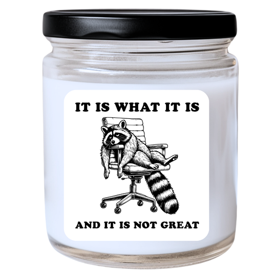 It Is What It Is and It Is Not Great Jar Candle | Snarky & Honest | Handpoured Soy Wax | Phthalate-Free | Collection