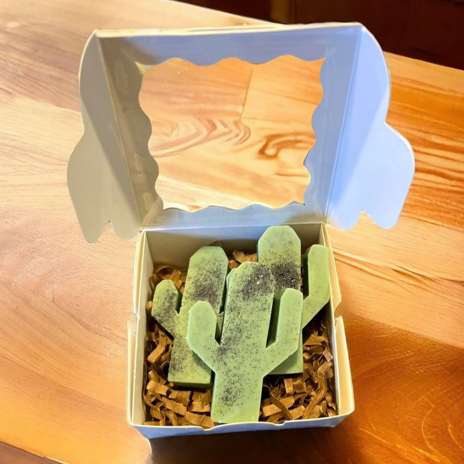 Boxed Soy Wax Melts - Cactus