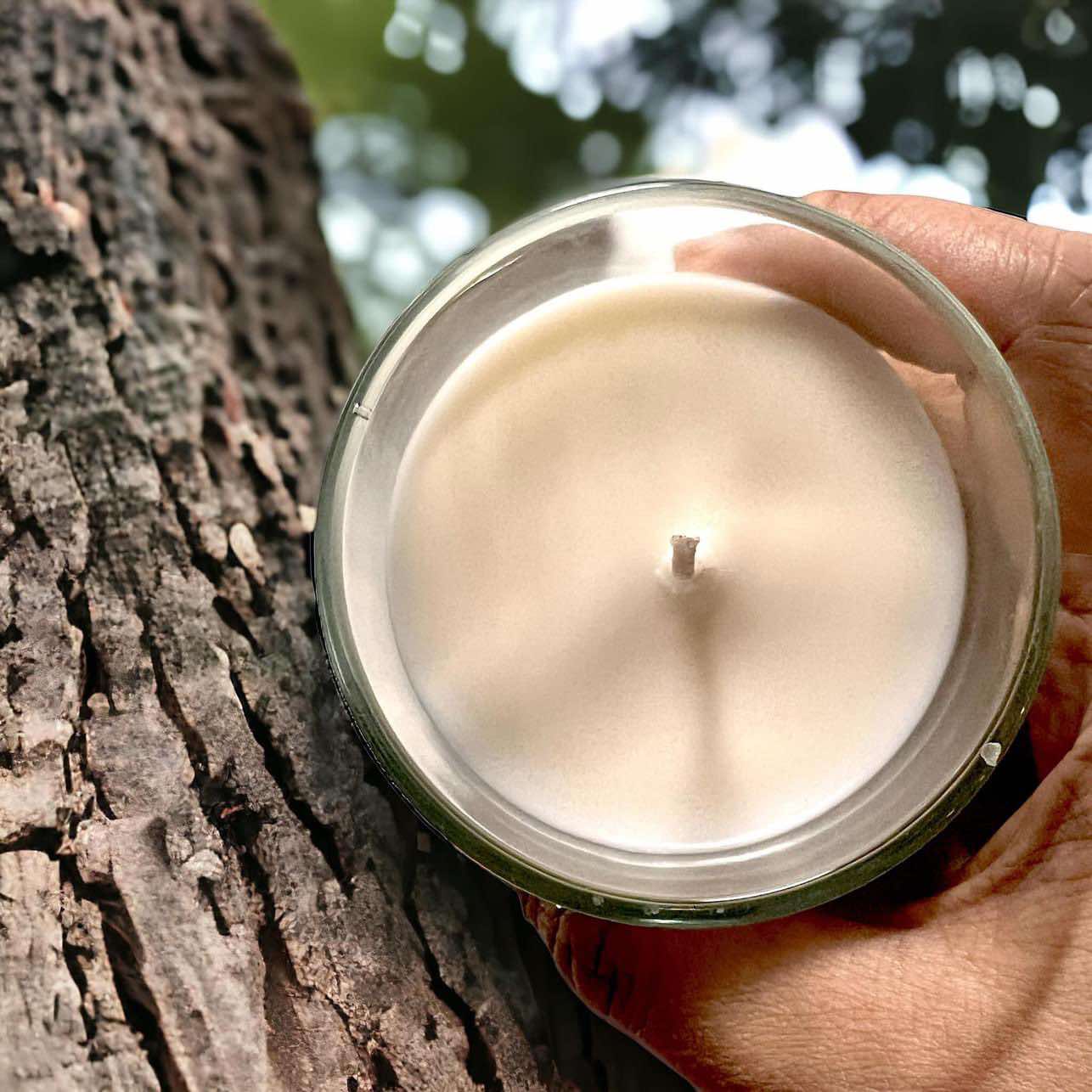 8oz Bamboo Glass Jar Candle - Southern Pecan